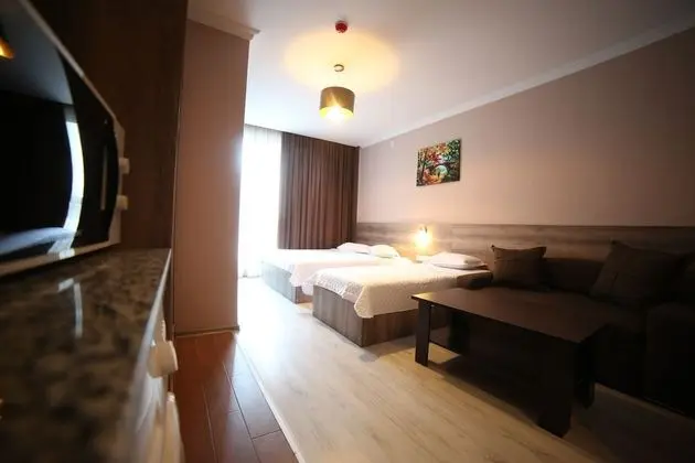 Family Üç Kişilik Oda, Birden Çok Yatak, Şehir Manzaralı