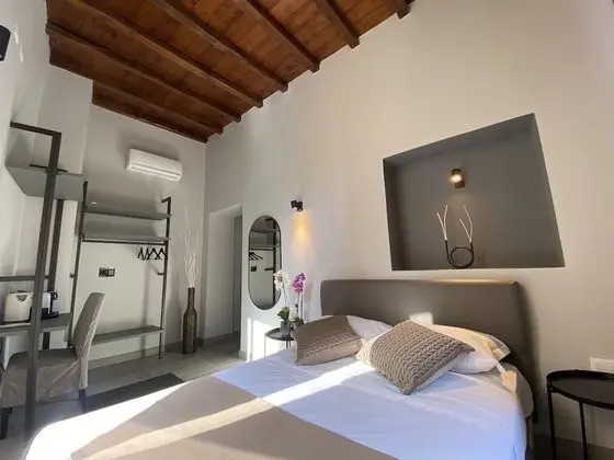 Superior Tek Büyük Yataklı Oda