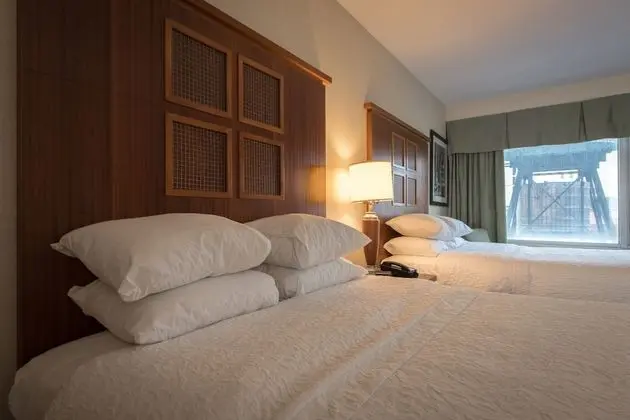 Deluxe Oda, 2 Çift Kişilik Yatak, Sigara İçilmez, Şehir Manzaralı (Tribeca View)