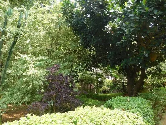 Apart Daire, 2 Yatak Odası, Sigara İçilebilir, Teras
