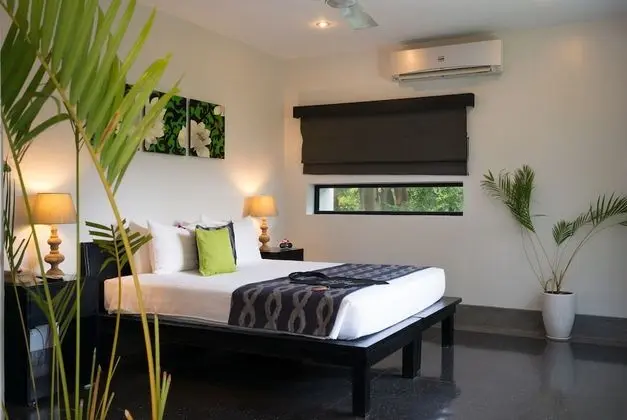 Terrace Room