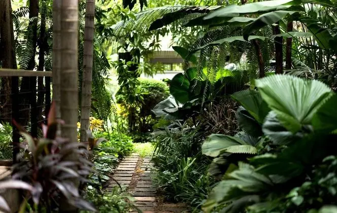 Sokkhak Suite