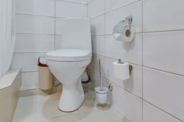 Basic Stüdyo