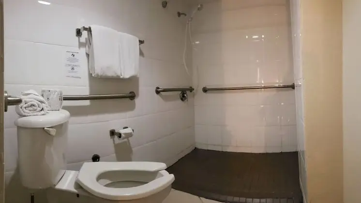 Standard Tek Büyük Yataklı Oda, 2 Çift Kişilik Yatak