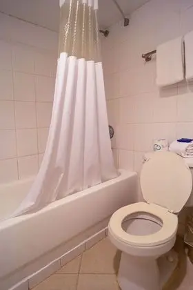 Standard Tek Büyük Yataklı Oda, 2 Çift Kişilik Yatak