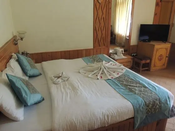 Deluxe Oda, 1 Çift Kişilik Yatak, Sigara İçilebilir