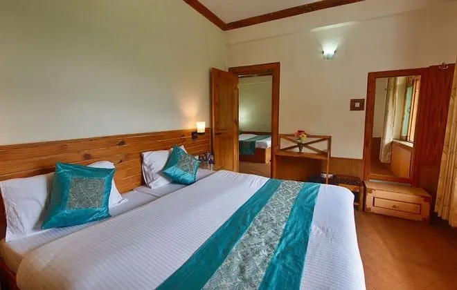 Deluxe Oda, 1 Çift Kişilik Yatak, Sigara İçilebilir