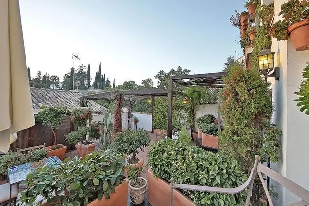 Economy Tek Büyük Yataklı Oda (Alhambra View)