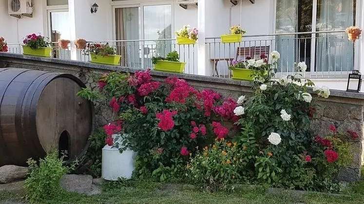 Comfort Sıra Ev, Birden Çok Yatak Odası, Bahçe Manzaralı, Dağ Yamacı