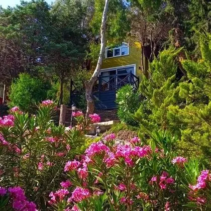 Asma Katlı Bungalow,Deniz ve Dağ Manzaralı,Verandalı