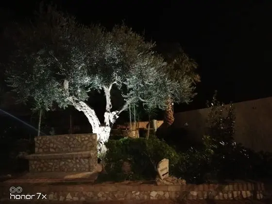 Apart Daire, 1 Yatak Odası, Sigara İçilebilir, Teras