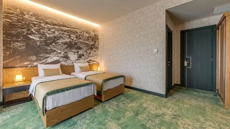 Superior Tek Büyük veya İki Ayrı Yataklı Oda, Şehir Manzaralı