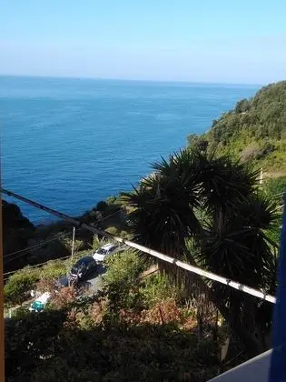 Stüdyo, 1 Büyük (Queen) Boy Yatak (Sole)