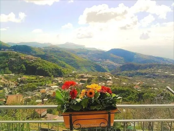 Villa, Birden Çok Yatak Odası