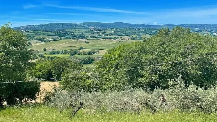 Villa, 6 Yatak Odası, Veranda