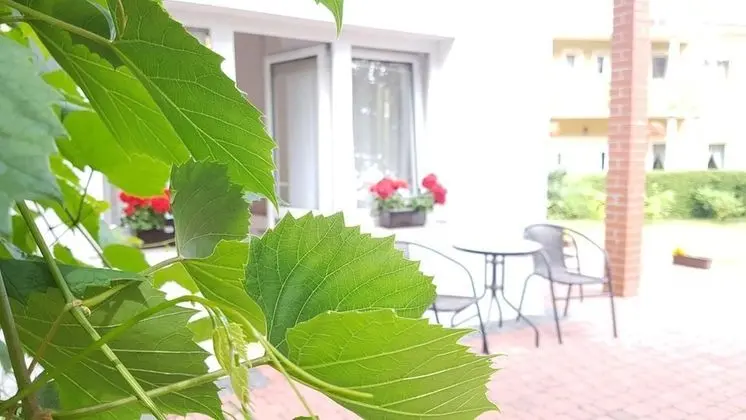 Tek Büyük Yataklı Oda, Balkon