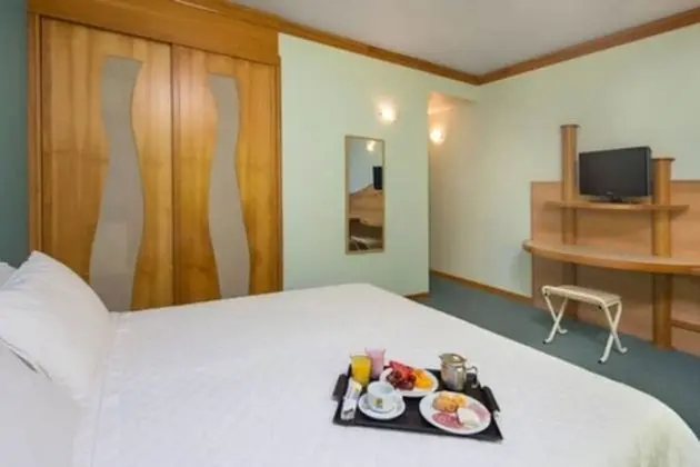 Deluxe Oda, 1 Çift Kişilik Yatak