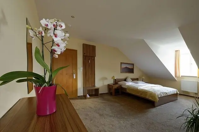 Deluxe Oda, 1 Çift Kişilik Yatak