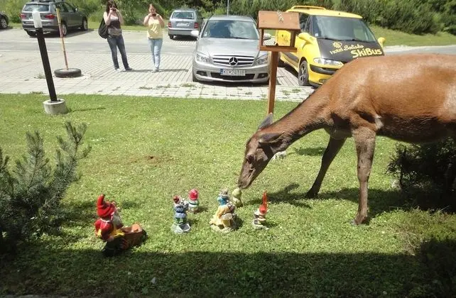 Standard Oda, 1 Çift Kişilik Yatak, Göl Manzaralı