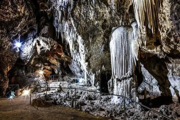 Oda, 1 Yatak Odası, Engellilere Uygun, Sigara İçilebilir