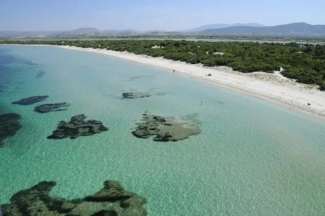 Oda, 1 Yatak Odası, Engellilere Uygun, Balkon