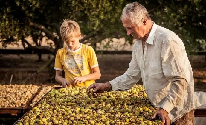 Apart Daire, Birden Çok Yatak