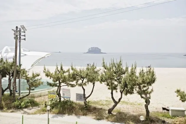 Stüdyo, Deniz Manzaralı