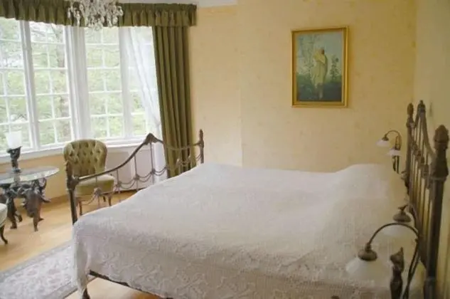 Standard Tek Büyük Yataklı Oda, Özel Banyo