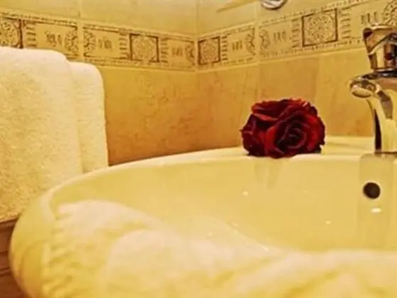 Tek Büyük Yataklı Oda, Banyolu/Duşlu (Bridal)