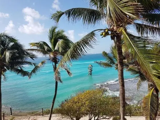 Condo Balcony Ocean View (#2401)