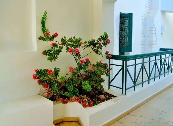 Standard Tek Büyük Yataklı Oda, Bahçe Manzaralı (Queen or Twin Beds)