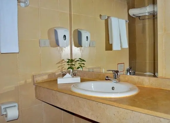 Standard Tek Büyük Yataklı Oda, Bahçe Manzaralı (Queen or Twin Beds)