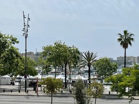 Superior Tek Büyük Yataklı Oda, Liman Manzaralı