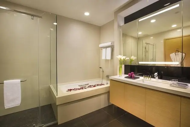 Deluxe Apart Daire, 1 Yatak Odası, Mutfak, Şehir Manzaralı
