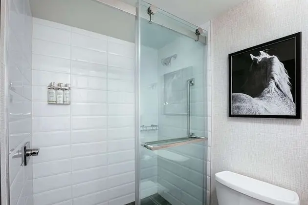 Oda, 1 En Büyük (King) Boy Yatak, Engellilere Uygun (Roll-In Shower)