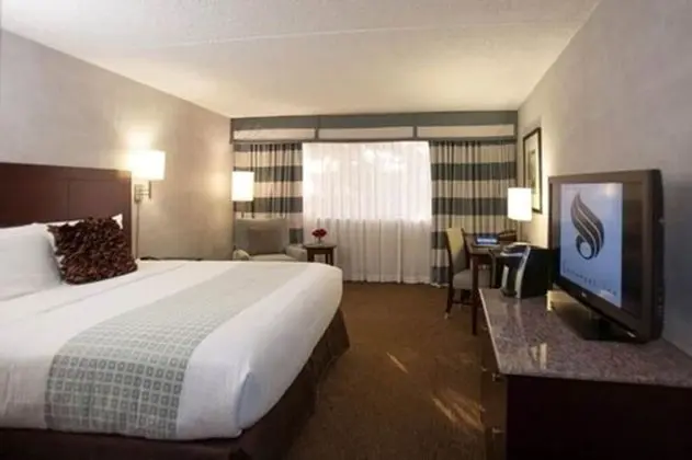Standard Oda (One Full Bed)
