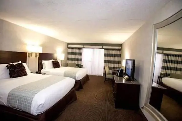 Standard Oda (Two Full Beds)