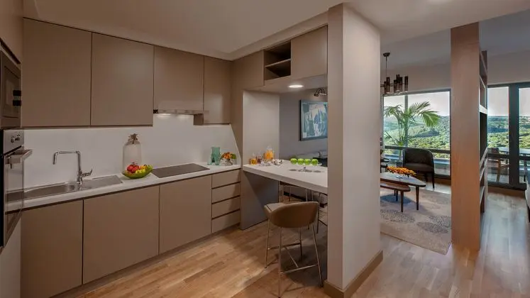 Studio Deluxe Oda Orman Veya Sehir Manzarali