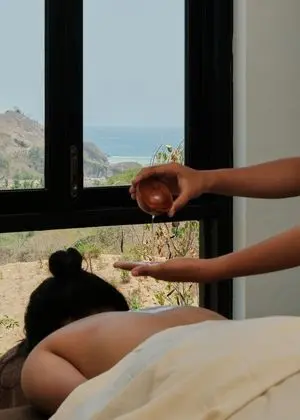 Luxury Villa, 1 Yatak Odası (Villa with Private Plunge Pool)
