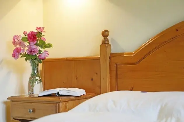 Standard Tek Büyük Yataklı Oda, 1 Yatak Odası, Bahçe Manzaralı