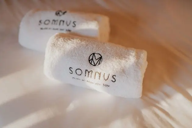 Luxury Stüdyo Süit
