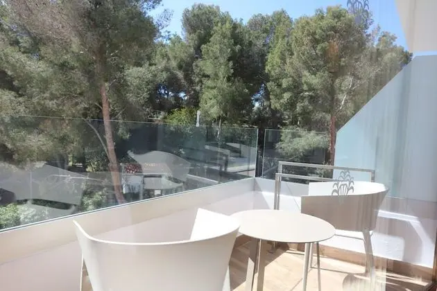 Superior Tek Büyük Yataklı Oda, Balkon