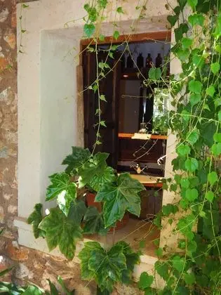 Classic Oda, Teras, Bahçe Manzaralı