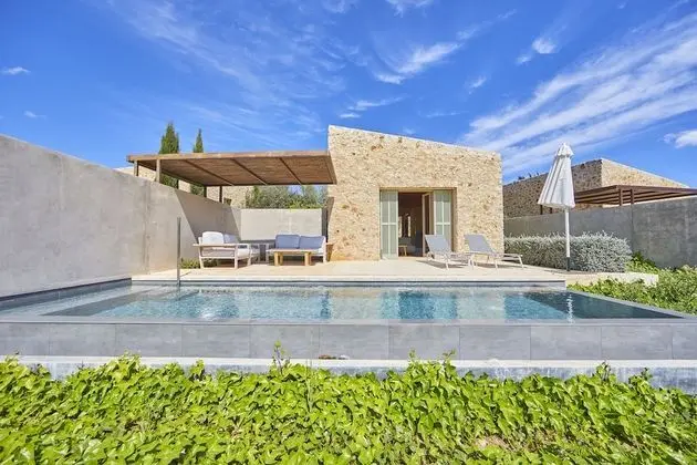 Deluxe Villa, 1 En Büyük (King) Boy Yatak, Kişiye Özel Havuzlu, Bahçeli