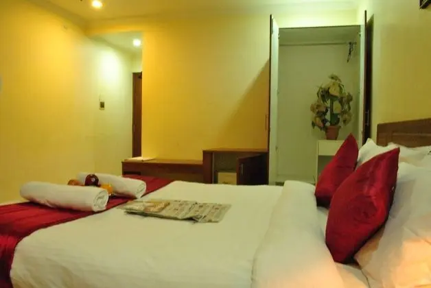 Premium Tek Büyük Yataklı Oda, 1 En Büyük (King) Boy Yatak, Sigara İçilmez, Şehir Manzaralı