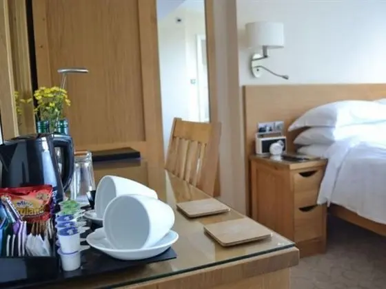 Superior Tek Büyük Yataklı Oda