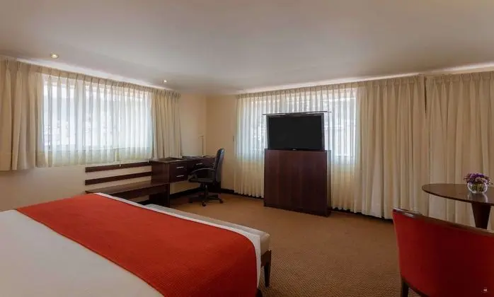 Executive Tek Büyük Yataklı Oda