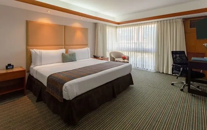 Habitación Ejecutiva con cama grande