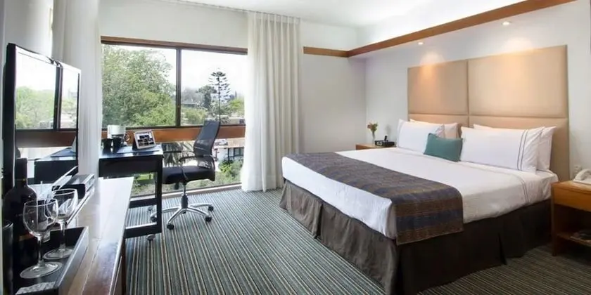 Habitación Ejecutiva con cama grande