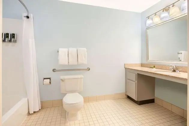 Stüdyo Süit, 1 Büyük (Queen) Boy Yatak, Engellilere Uygun, Şömine (Kitchen, Mobility, Tub)